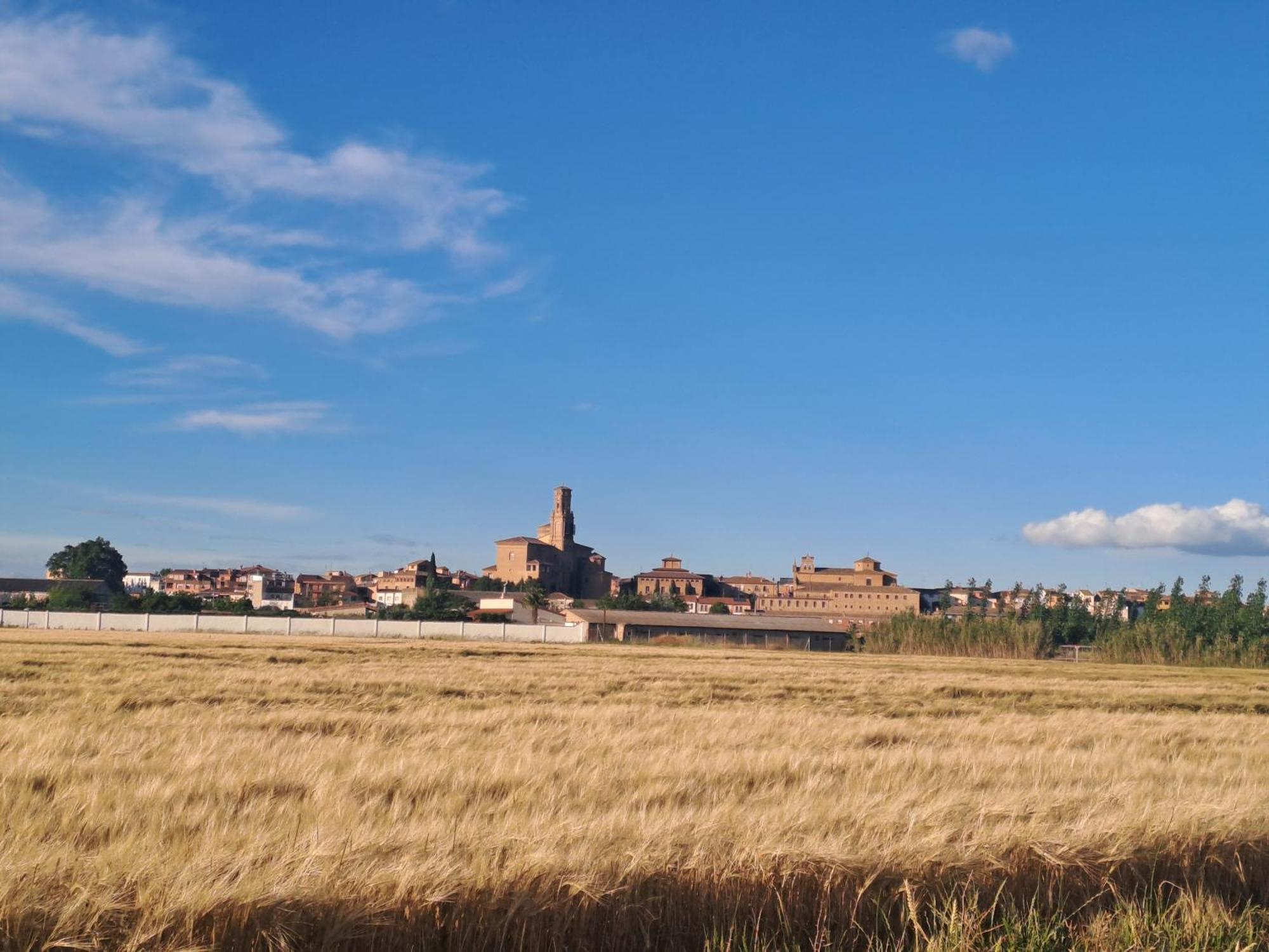 Apto Rural Alesves Esencia De Bardenas Navarra Villafranca Kültér fotó